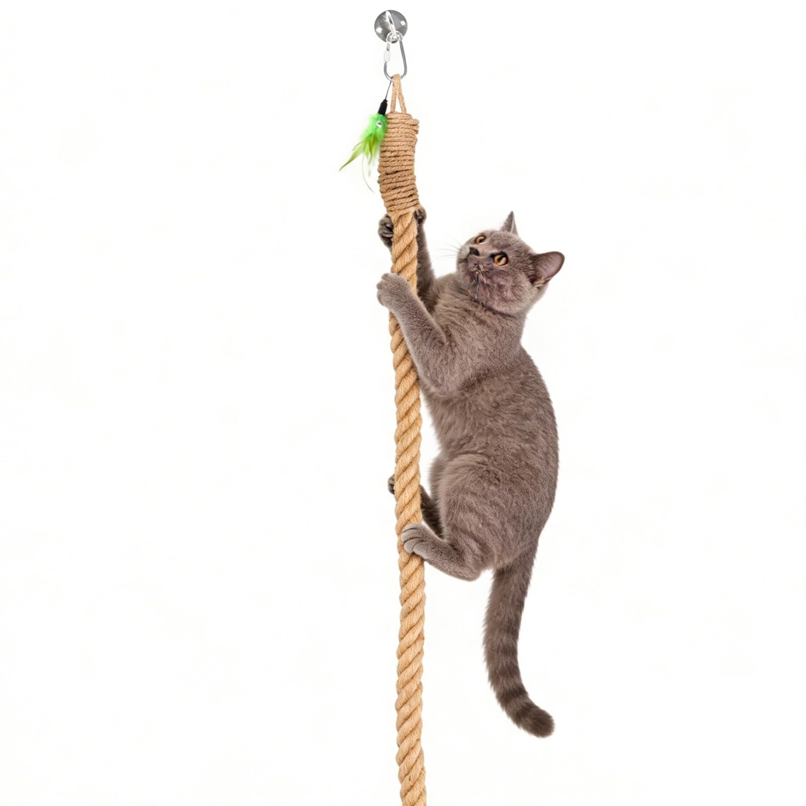 Corda da arrampicata per gatti da 2 m con campana dorata e piuma teaser, corda da gioco in canapa naturale per gatti, corda da soffitto con gancio a scatto, per uso interno ed esterno