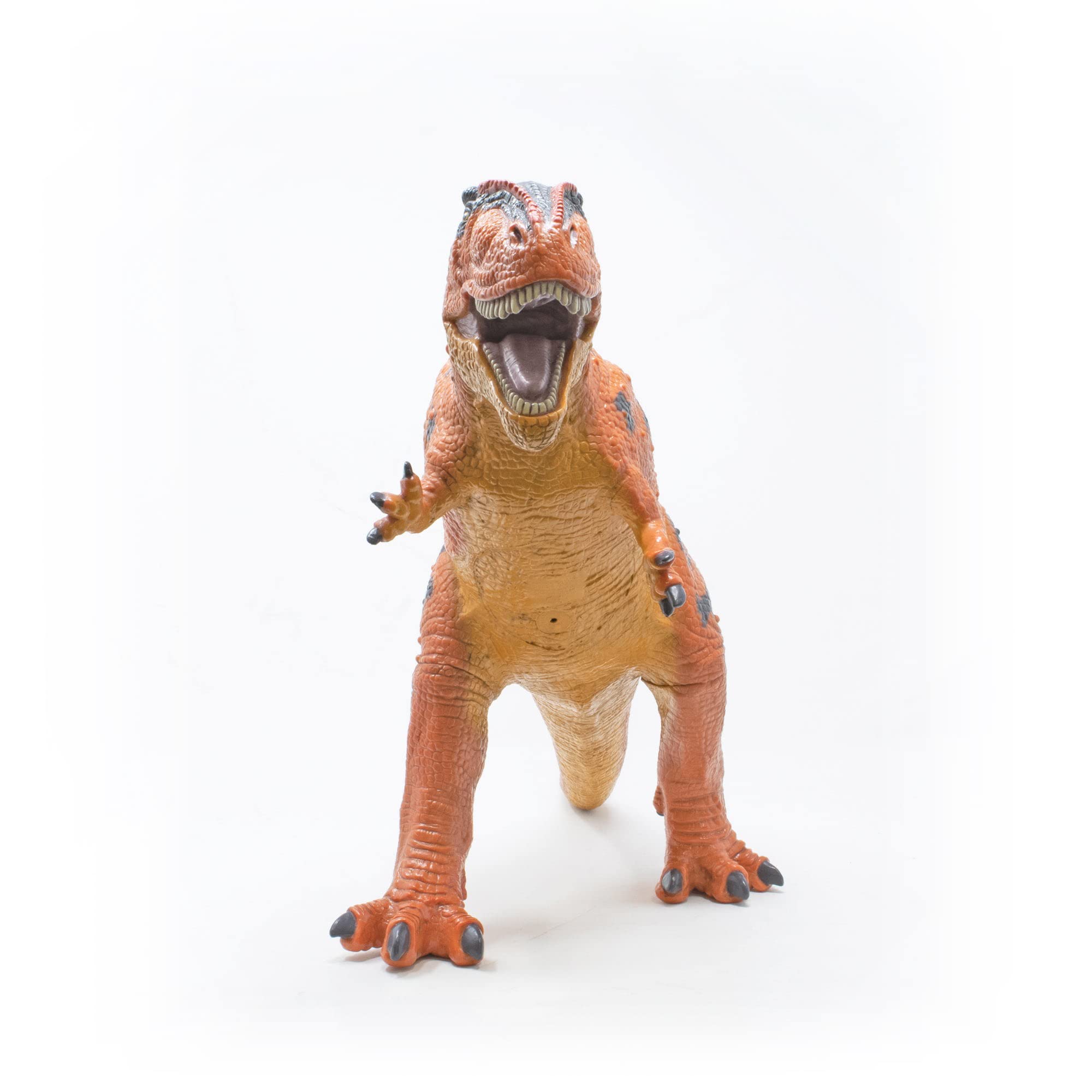 DINO DREAM 限定版 ギガノトサウルス Amazon.co.jp: DINO DREAM 1/30 サイズ ギガノトサウルス 限定版