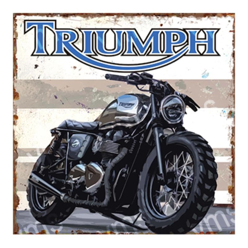 Vintage Metal Sign TRIUMPH RACER 12X12 inch Home Decor Inside Outside Bar Kitchen Pub Decorative Plaques