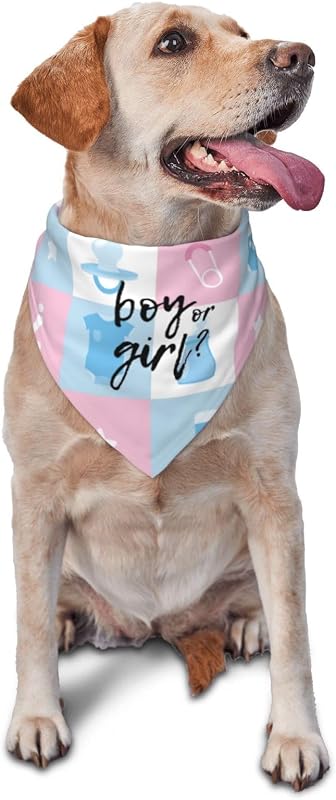 Bandana para Cães em Poliéster com Coleira Ajustável He Or She – Grid