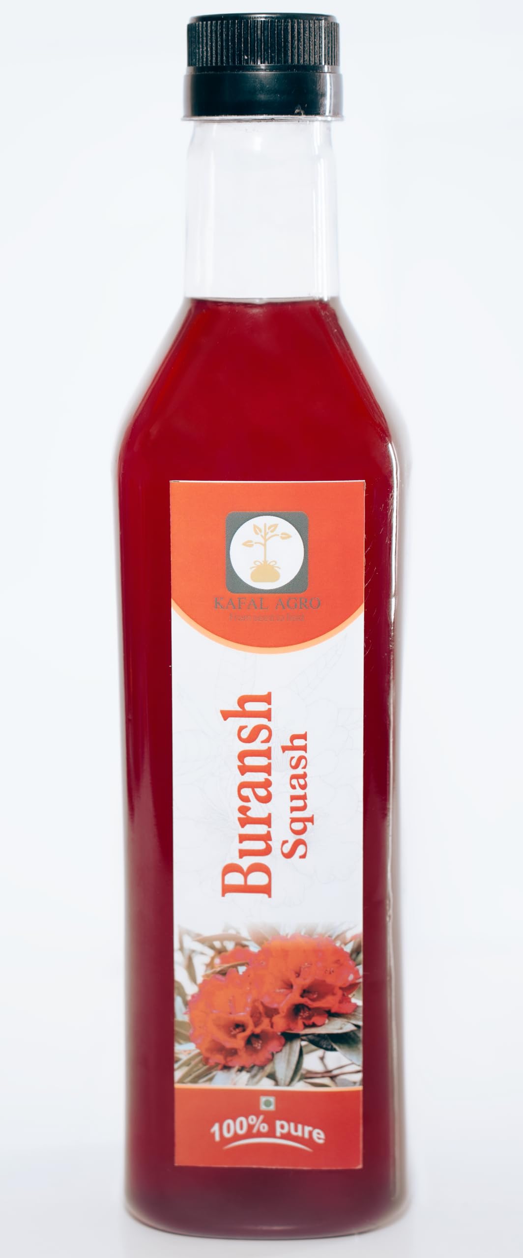 Buransh Squash (Rhododendron) Himalayan red flower squash No added color (1litre) (B0D4MB6N26) Amazon Price History, Amazon Price Tracker