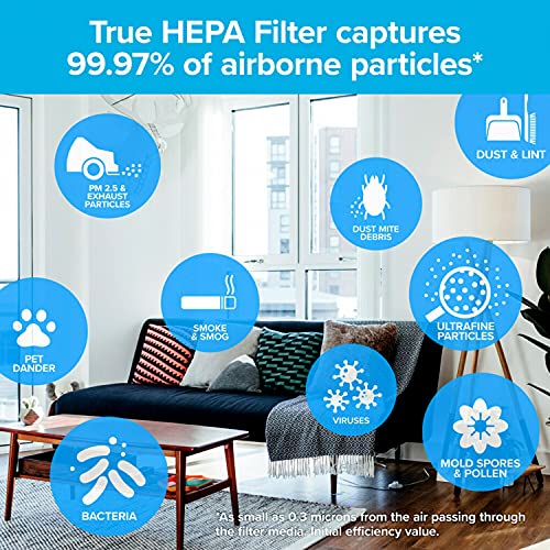 Filtrete F1 Room Air Purifier Filter, True HEPA Premium Allergen, Bacteria, & Virus, 12 in. x 6.75 in., 2-Pack - Image 3