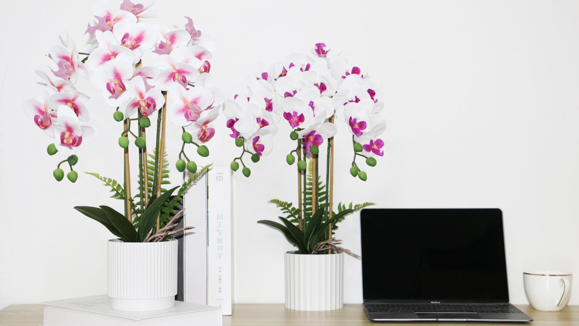 Forlaoers Orchidea Artificiale Alta 45 Cm In Vaso - Bianca, Realistica Al Tatto, In Seta, Per Decorazione Interni, Regalo
