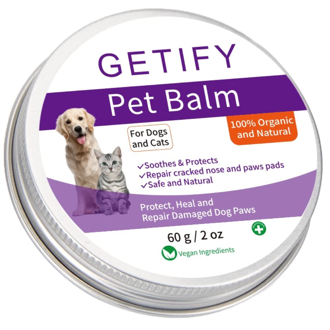 Can Dogs Lick Vaseline