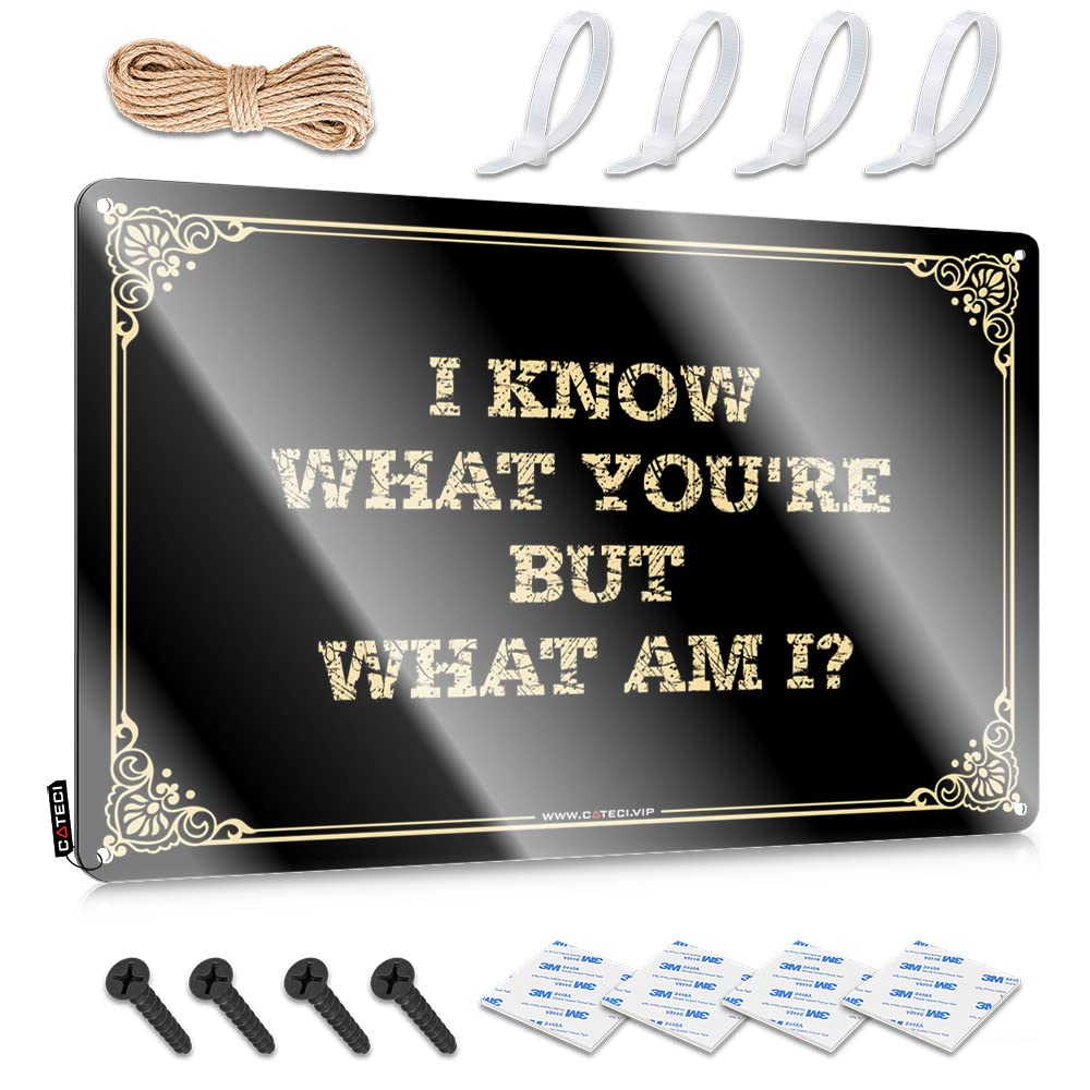 MGHTLCCME Sports Bar Decor I Know What You'Re But Am I? Tin Sign Funny Kitchen Decor Coffee Tin Sign(30X40CM)