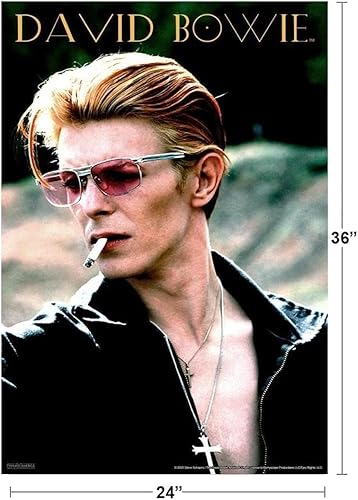 Miniatura 2 de David Bowie - Póster rebelde (24 x 36 pulgadas)