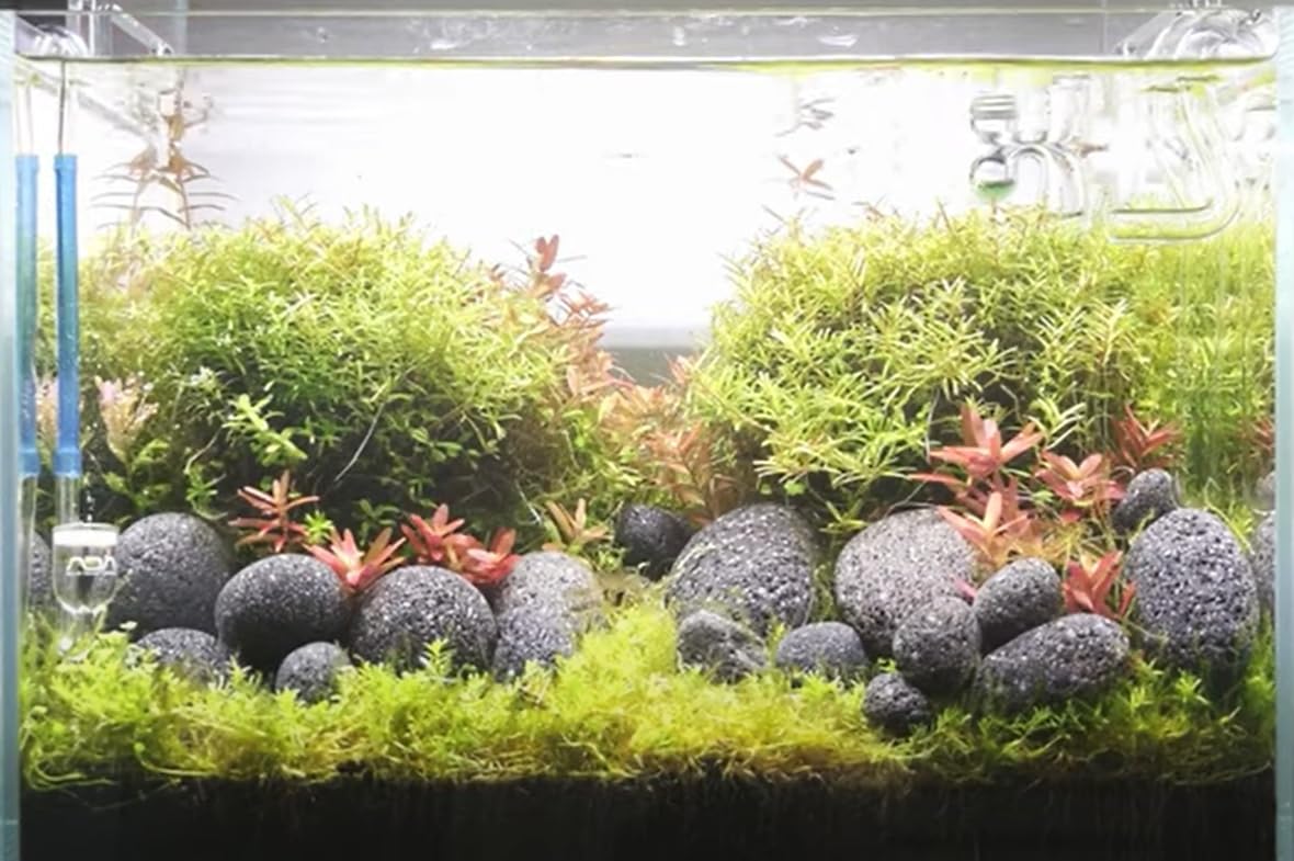 Lava Aquarium Steine Schwarz 10 kg Aquascaping Deko
