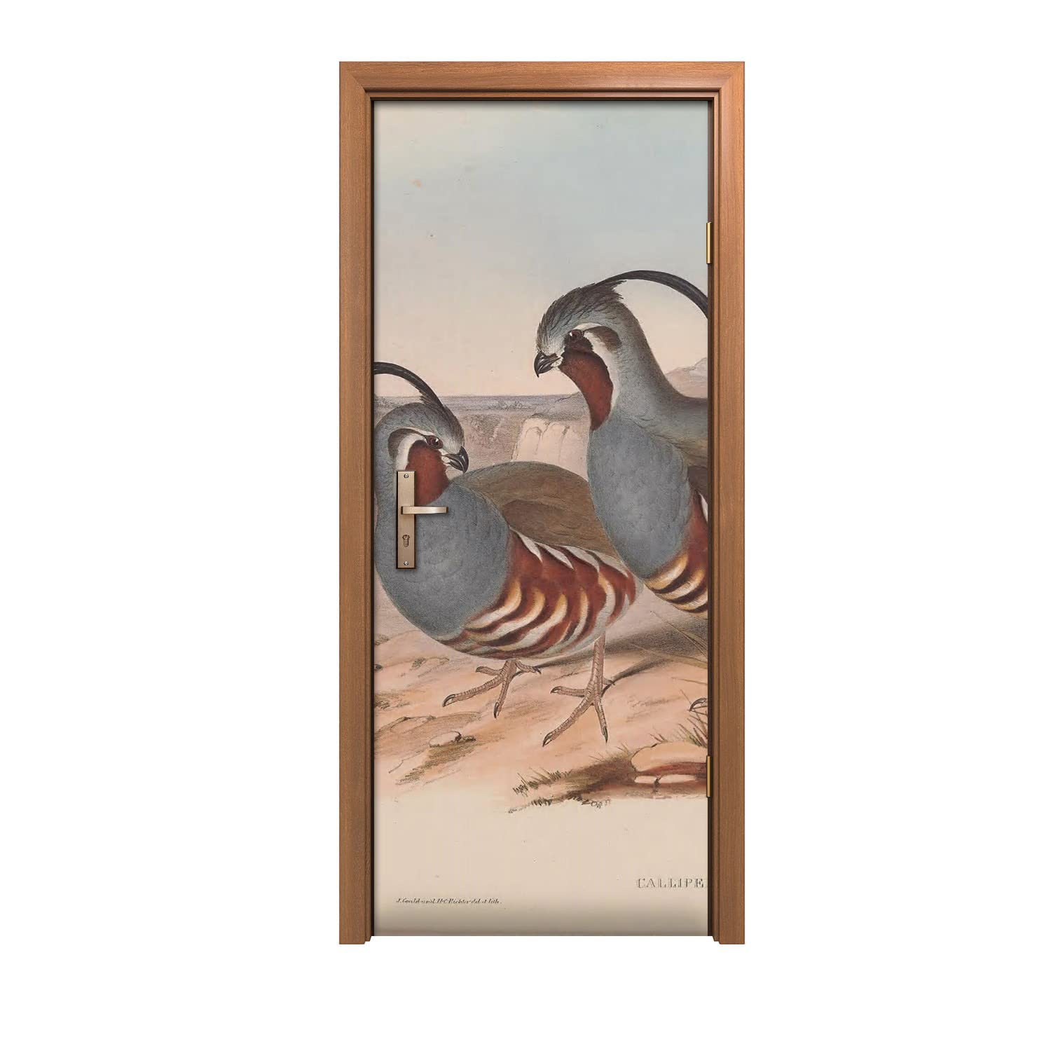 Autocollant de porte oiseaux pour illuminer votre salon et votre chambre Coloray