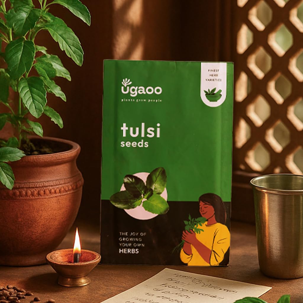 UGAOO Tulsi Herb Seeds (Green, Pack of 4g)