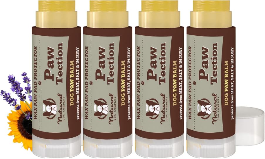 Natural Dog Company PawTection Dog Paw Balm, 4 Pack, Protects Paws from Hot Surfaces, Sand, Salt, & Snow, Organic, All Natural Ingredients (0.15 oz Travel Stick) X 4