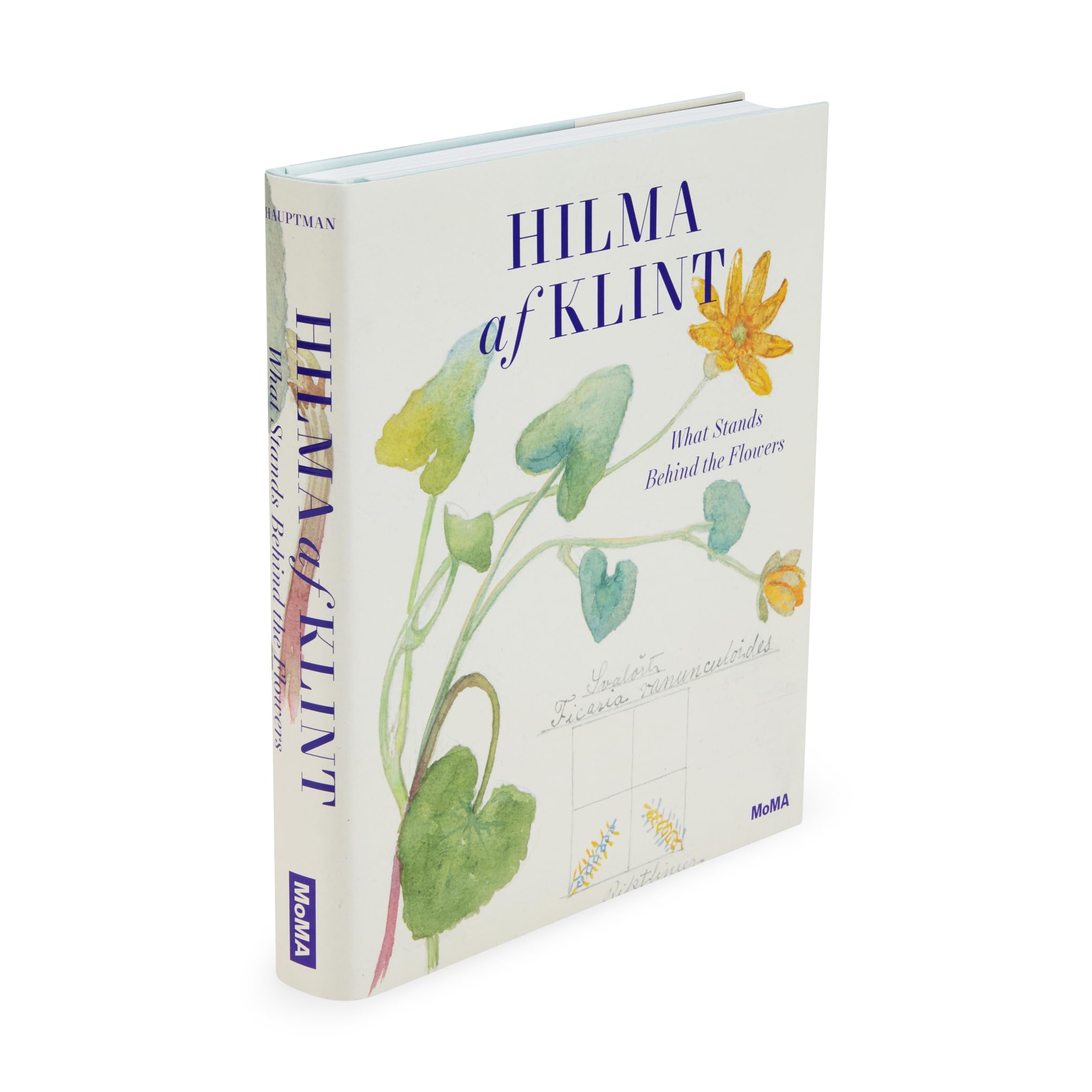 Hilma af Klint: What Stands Behind the Flowers
