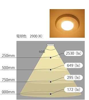 Amazon.co.jp: ベスト 877 LEDダウンライト 2灯セット 黒 電球色