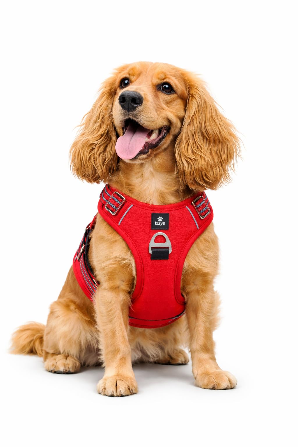 IzzyB No-Pull Dog Harness, Adjustable, Padded Chest and Back Panel, Reflective Stitching, Strong Metal D-Ring (Red, Large)