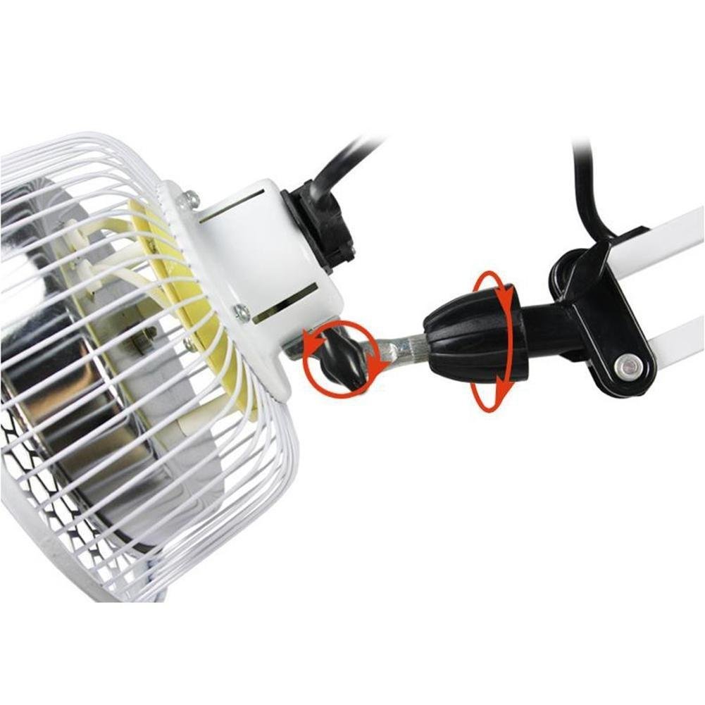 300W TDP Lejos Calor Lámpara Electromagnético Terapia Fisioterapia Ligero Mineral Plato Aparato Hora Ajuste Ajustable Temperatura