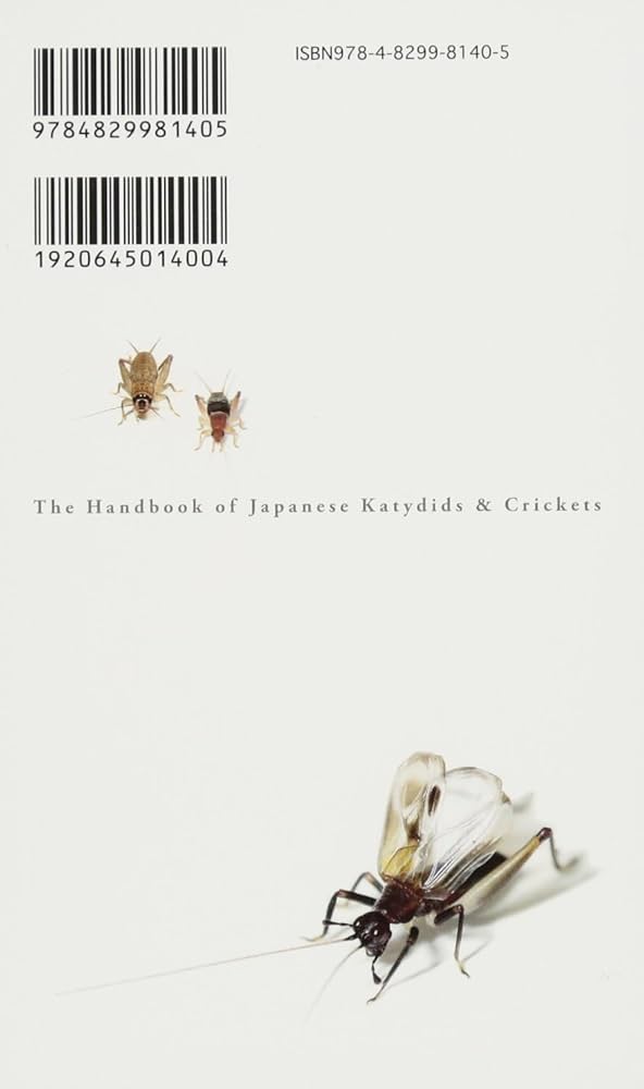 キリギリス oldgear-chiba_240623-5545-165s