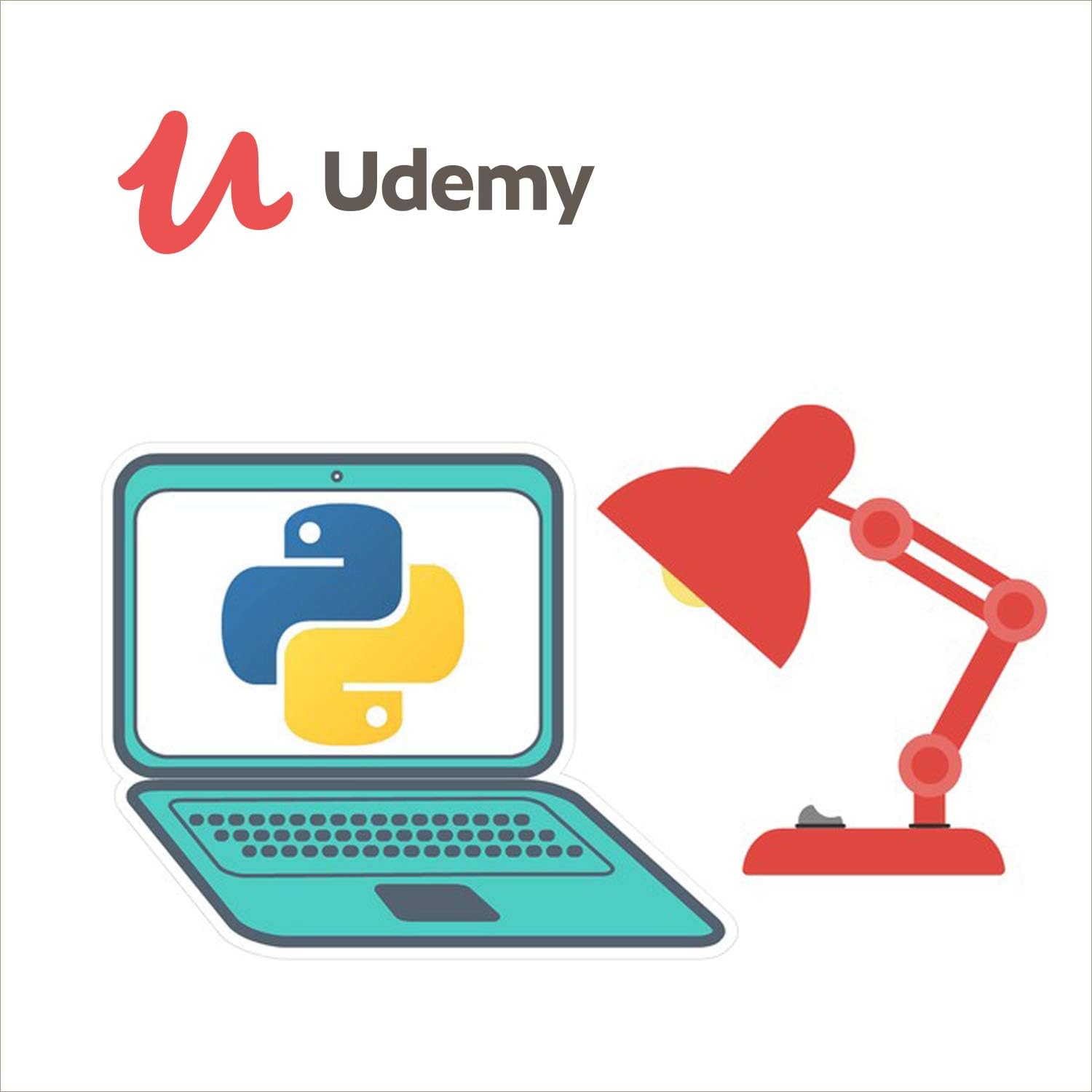 Udemy Complete Python Bootcamp| Become a Python Professional | Online Course| Email delivery in 2 hours