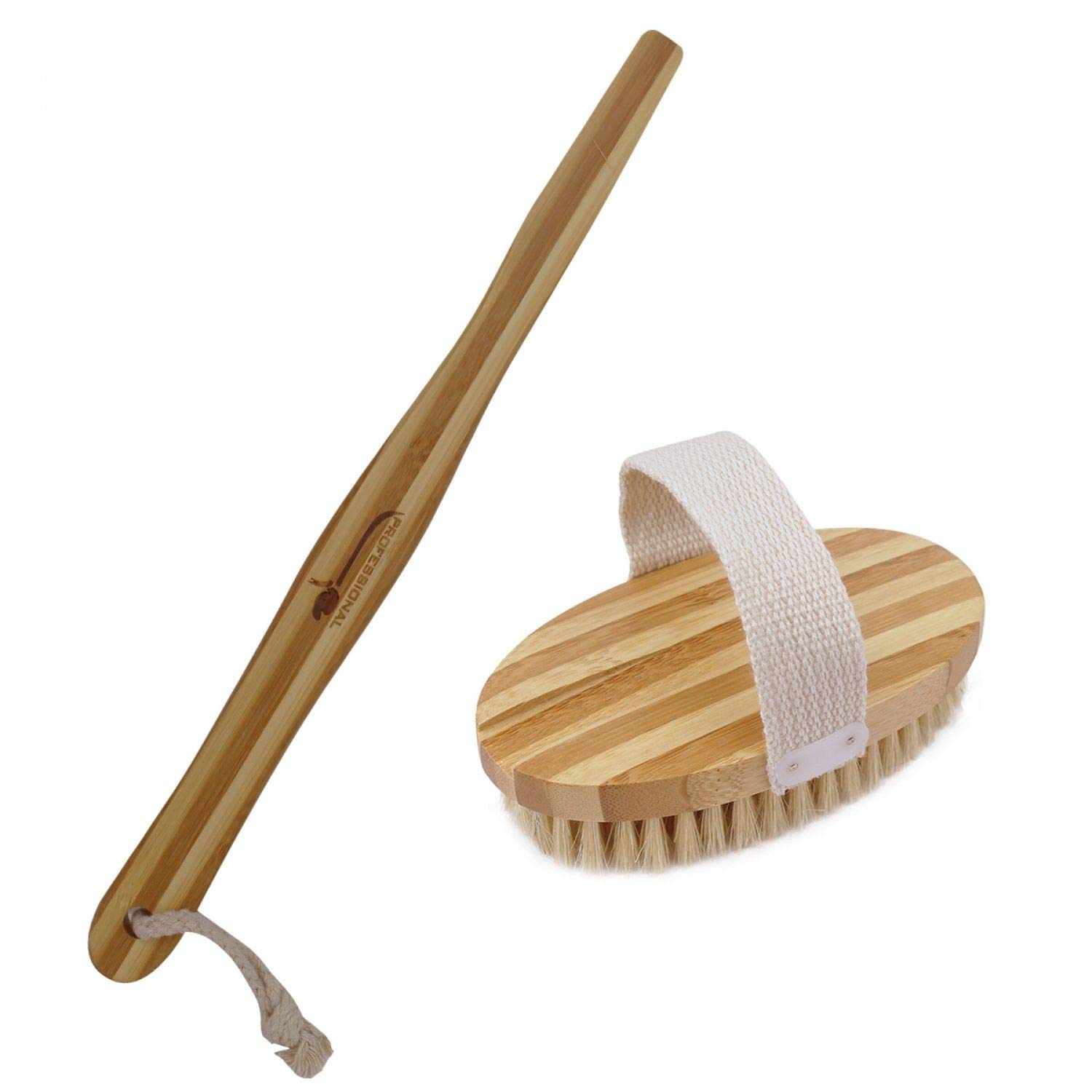 Brosse à Poils En Bambou Vivezen 42 Cm – Manche Amovible, écologique