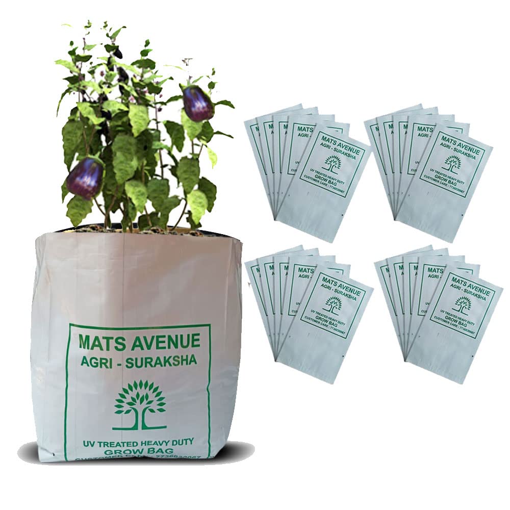 Top 161+ big grow bags esthdonghoadian