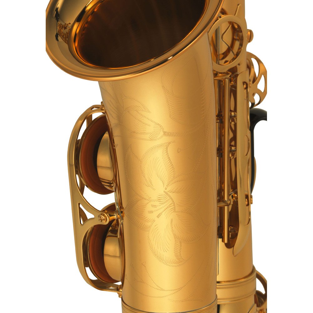 Amazon | YAMAHA YAS-875 2015年新モデル カスタム875 アルトサックス