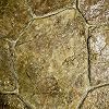 New Random Stone Concrete Stamp Set by Walttools | Decorative Stone Tile, Rotational Pattern, Sturdy Polyurethane Texturing Mats, Realistic Detail (5 Piece, Series 2)