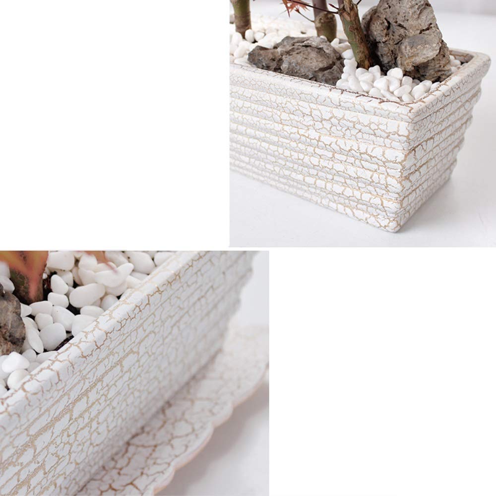 Prostokątna ceramiczna doniczka na kaktusa i storczyki, duża zielona doniczka na rośliny z tacą na sukulenty, do wewnątrz, na balkon, bonsai