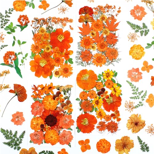 4 Pack Flores Secas Naturales para Resina y Manualidades miniatura 2