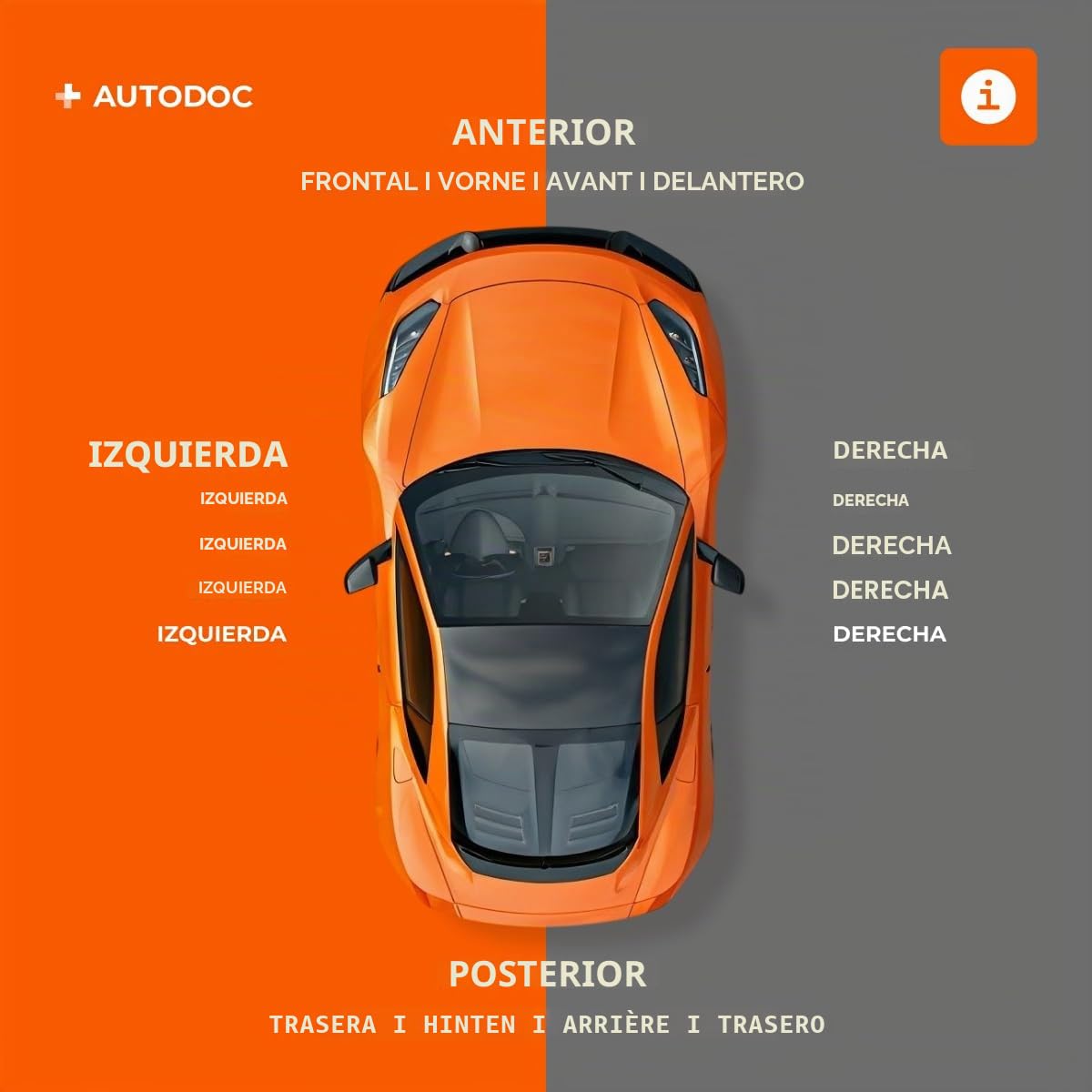RIDEX 3405B0064 Kit Kit de discos de freno y pastillas Delantero sin tornillos Compatible con FIAT 500 312