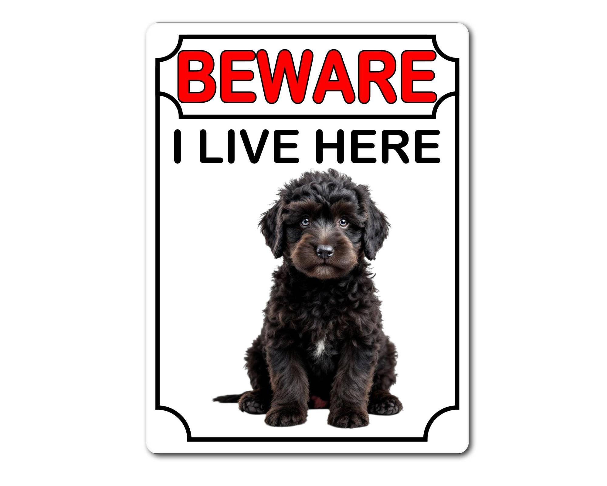 Decalarama Black Cockapoo Metal Sign Gift – Beware I Live Here – (Black) Cute Fun Dog Novelty Aluminium Present