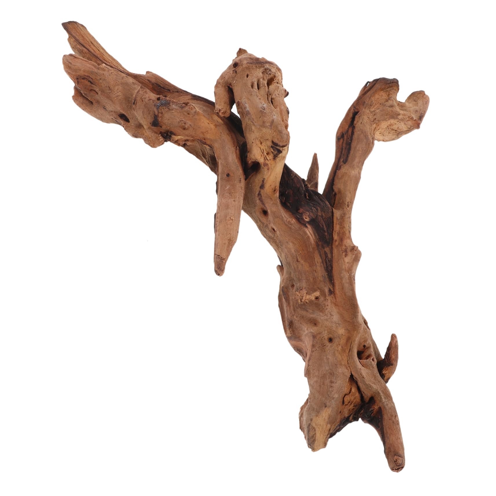 BESPORTBLE Fish Tank Driftwood Decor Natural Dead-Wood Decorations Large Driftwood for Aquarium Stable Base