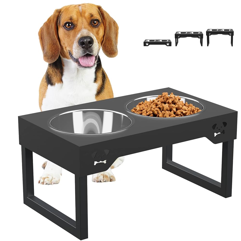 you  Mobbyko Elevated Dog Bowls, Stainless Steel Raised Dog Bowls