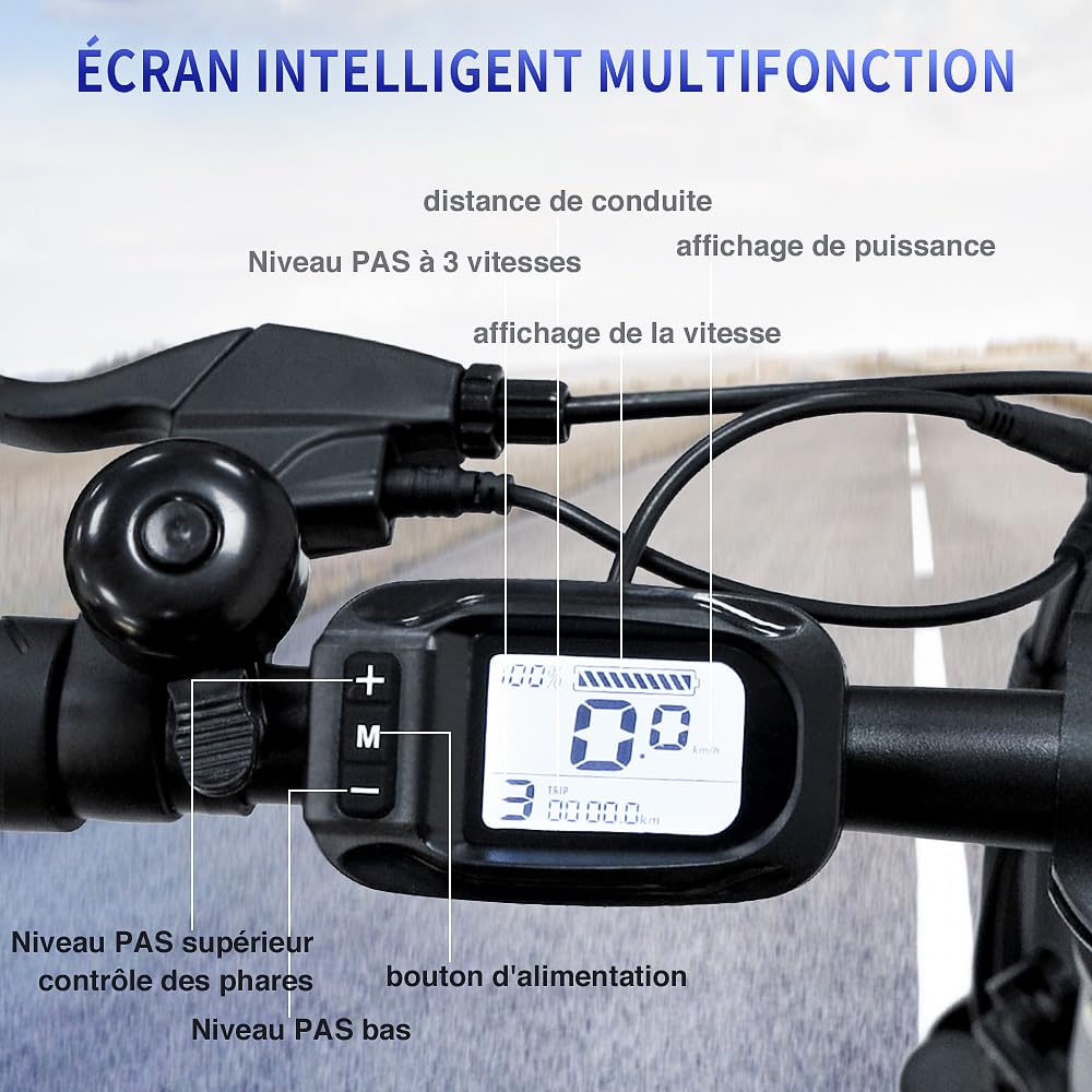 Fafrees F20 Vélo électrique Pliant 20 * 3.0 Pouces, VAE 250W Moteur, 36V 16Ah Batterie, Autonomie 60-130 km