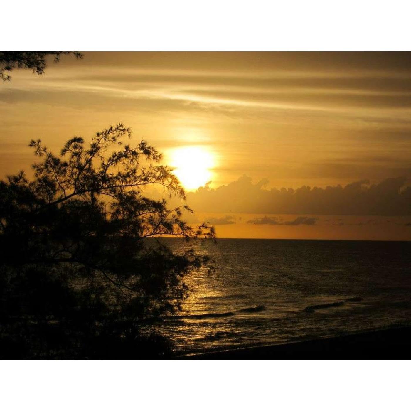 The New Golden Era of Light