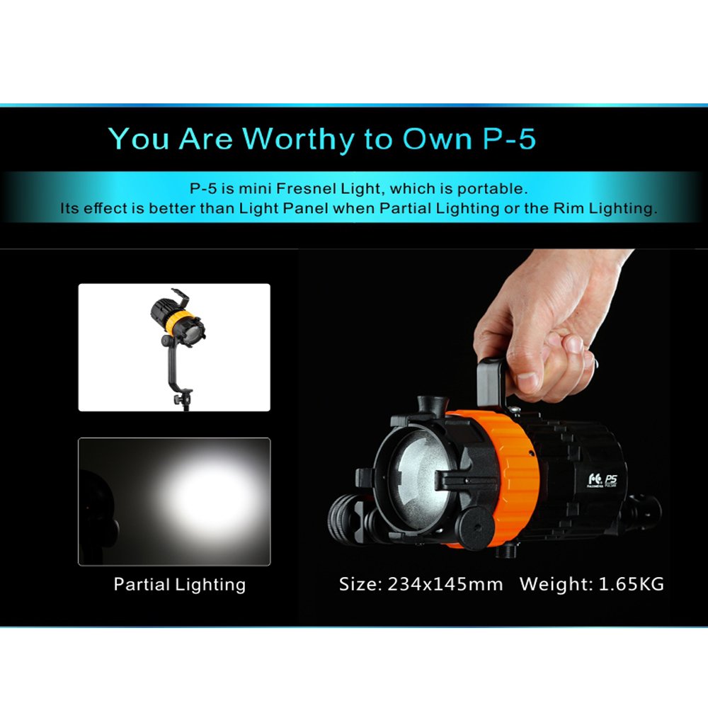 Amazon.com : Falcon Eyes Pulsar 5 P-5 50W Mini Spot Light