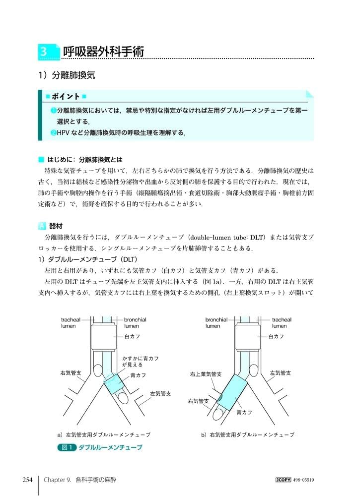 【裁断済】実践臨床麻酔マニュアル 第2版 実践 臨床麻酔マニュアル 第2版 | 竹内 護, 鈴木 昭広, 堀田 訓
