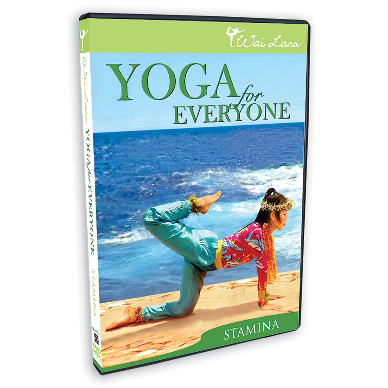 その他 Yoga for Everyone: Stamina [DVD] 61zY2iBL18L.jpg