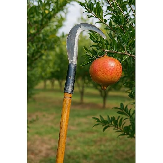 Curved Pruning Saw - 10 Inch