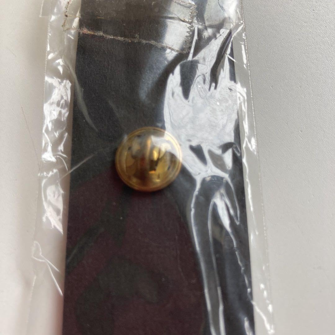 Amazon.co.jp: 布袋寅泰 ギターピンバッジ ブラックファイヤー : 楽器