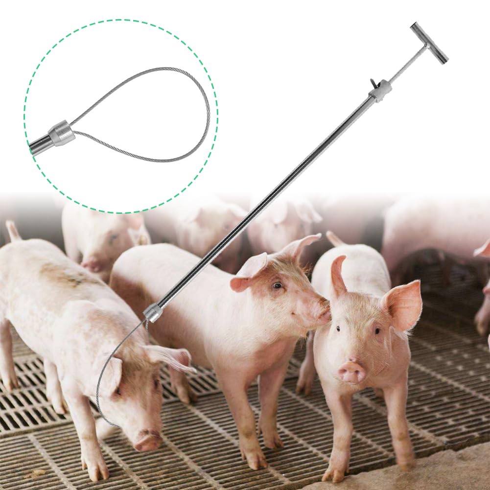 Schweinefangstange Edelstahl Tier-Fixierhilfe verstellbar 67-114cm | Ergonomischer Griff für Einhandbedienung robuste 4mm Drahtschlaufe sichere und stressfreie Fixierung bei der Behandlung