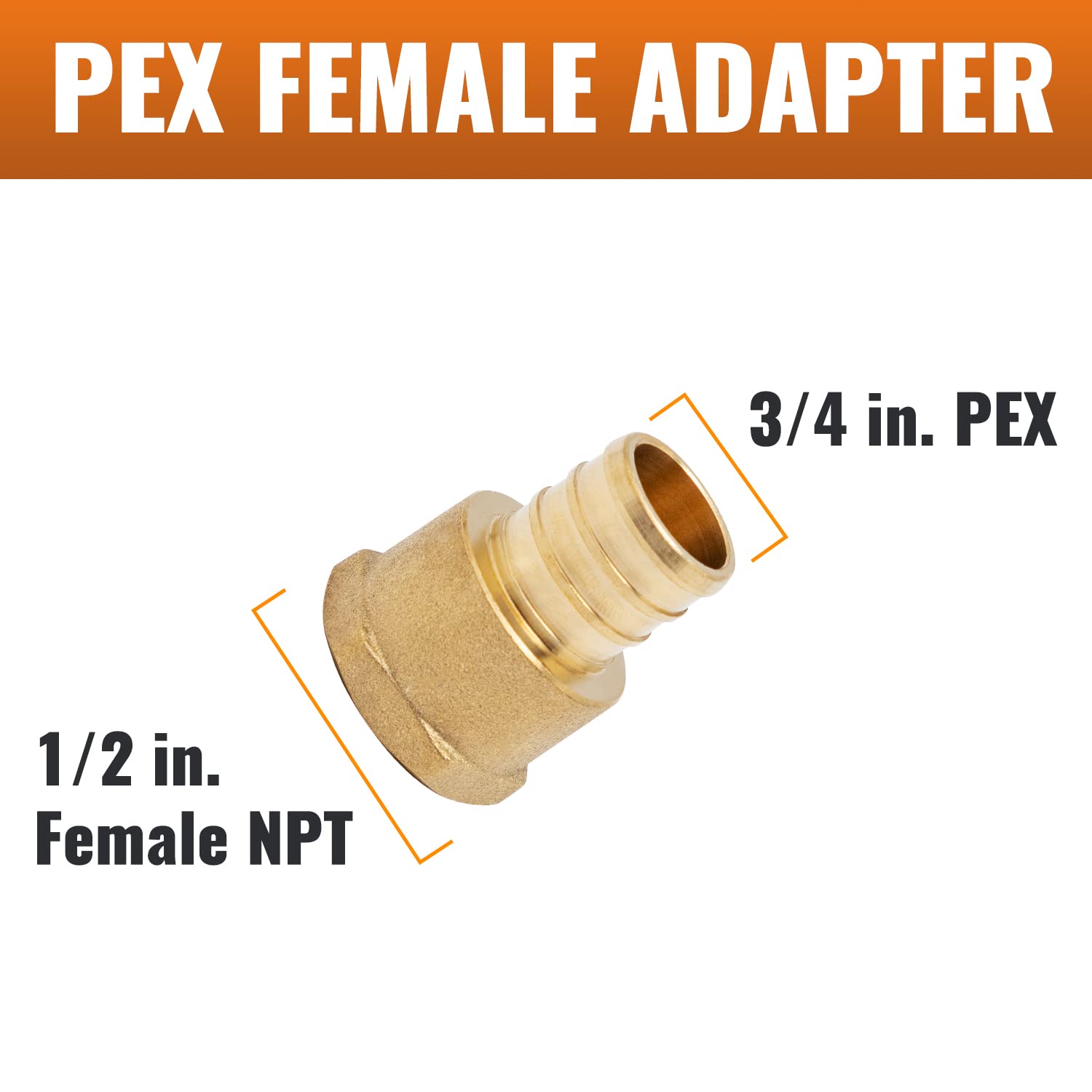 SUNGATOR Paquete de 2 adaptadores de rosca hembra NPT de 3/4 x 1/2 pulgadas para tubería Pex B, latón sin plomo