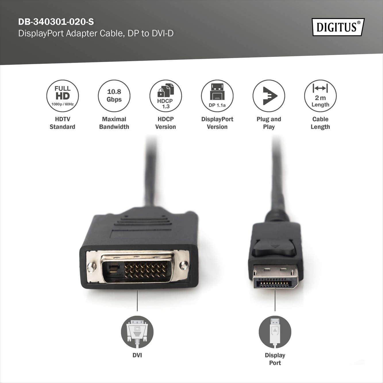 Amazon.co.jp: ラッチ付きDVI（24 + 1）ケーブルへのDigitus