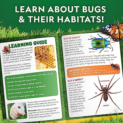Blue Marble NGBUGHAB National Geographic Bug Catcher Kit For Kids thumb #5