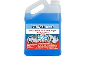 WET AND FORGET GAL Outdoor Cleaner