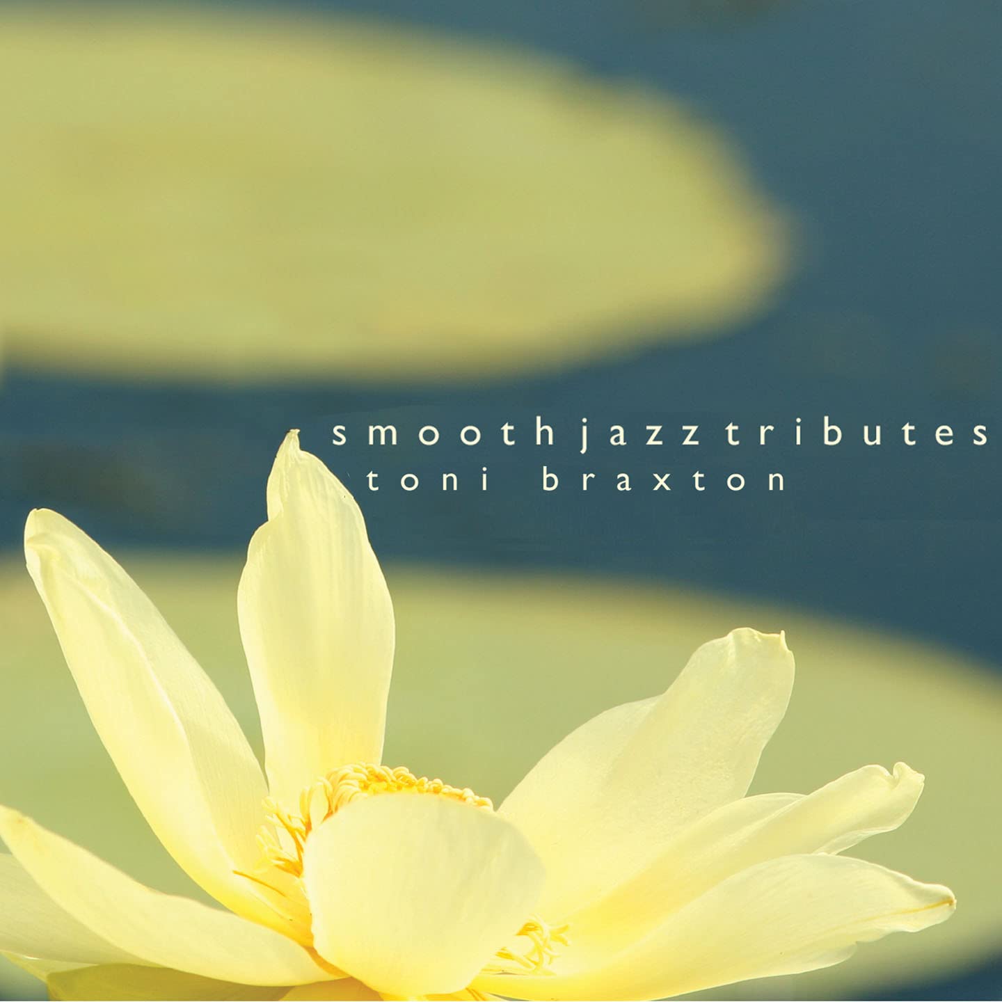 Toni Braxton Smooth Jazz Tribute