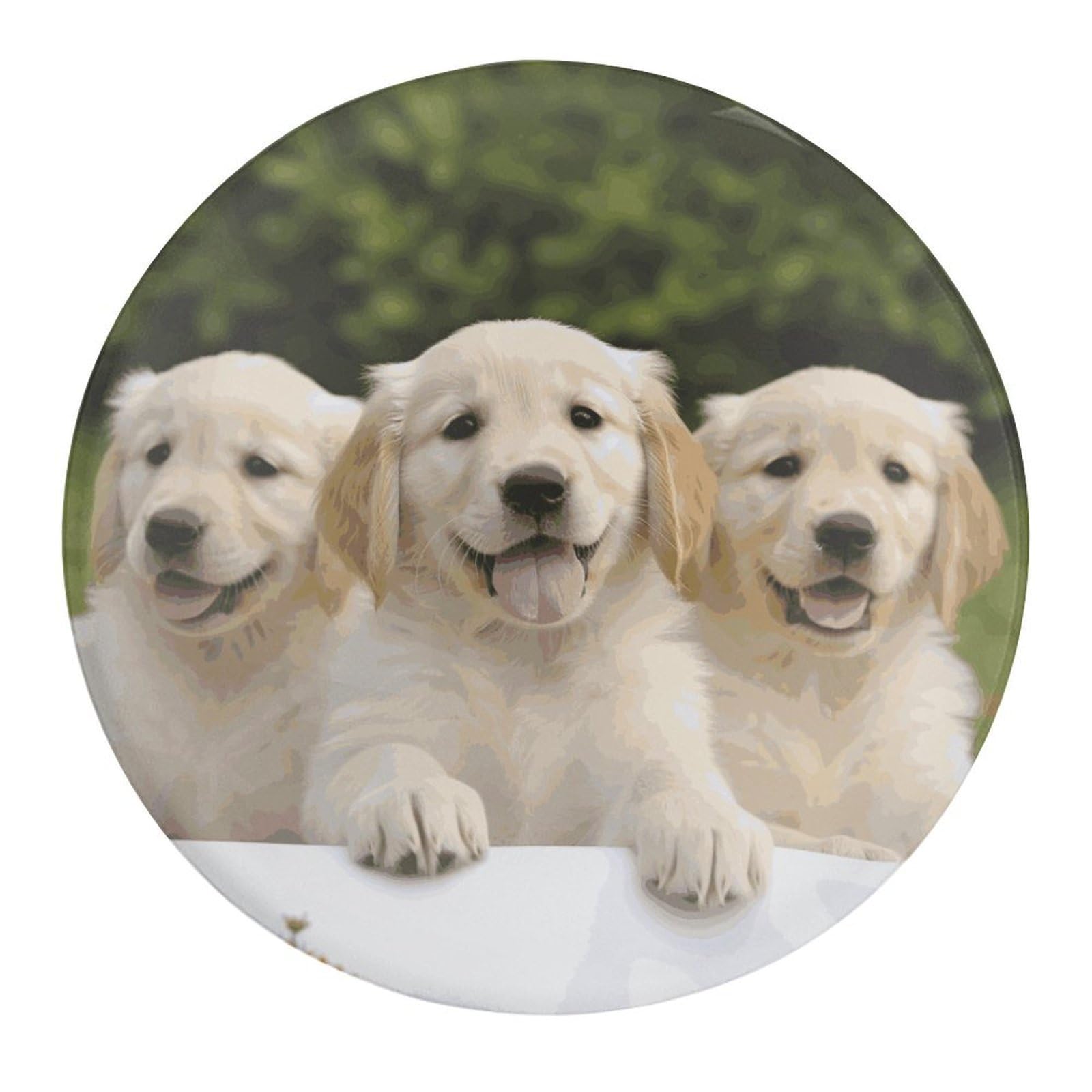 Fekiloot Style Golden Retriever Puppies Refrigerator Magnet Fridge Magnet2 Pcs