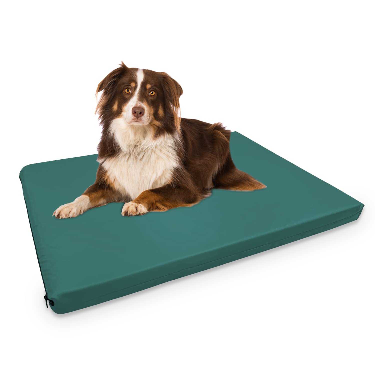Brillars® Dog Bed Pet Mattress with Cooling Gel, Crate Mat Non-Slip Improved Sleep Thick Pad Removable Cover for Small, Medium & Large Pets (Large, Green)