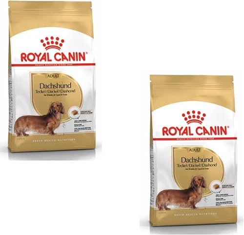 Canin Teckel Adulte Royal