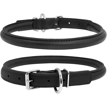 small leather collar