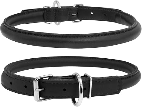 Buckle collar for small dogs Clearance