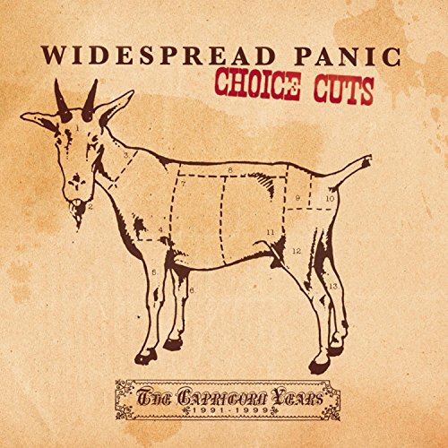 Choice Cuts Widespread Panic – Compact Music Collection