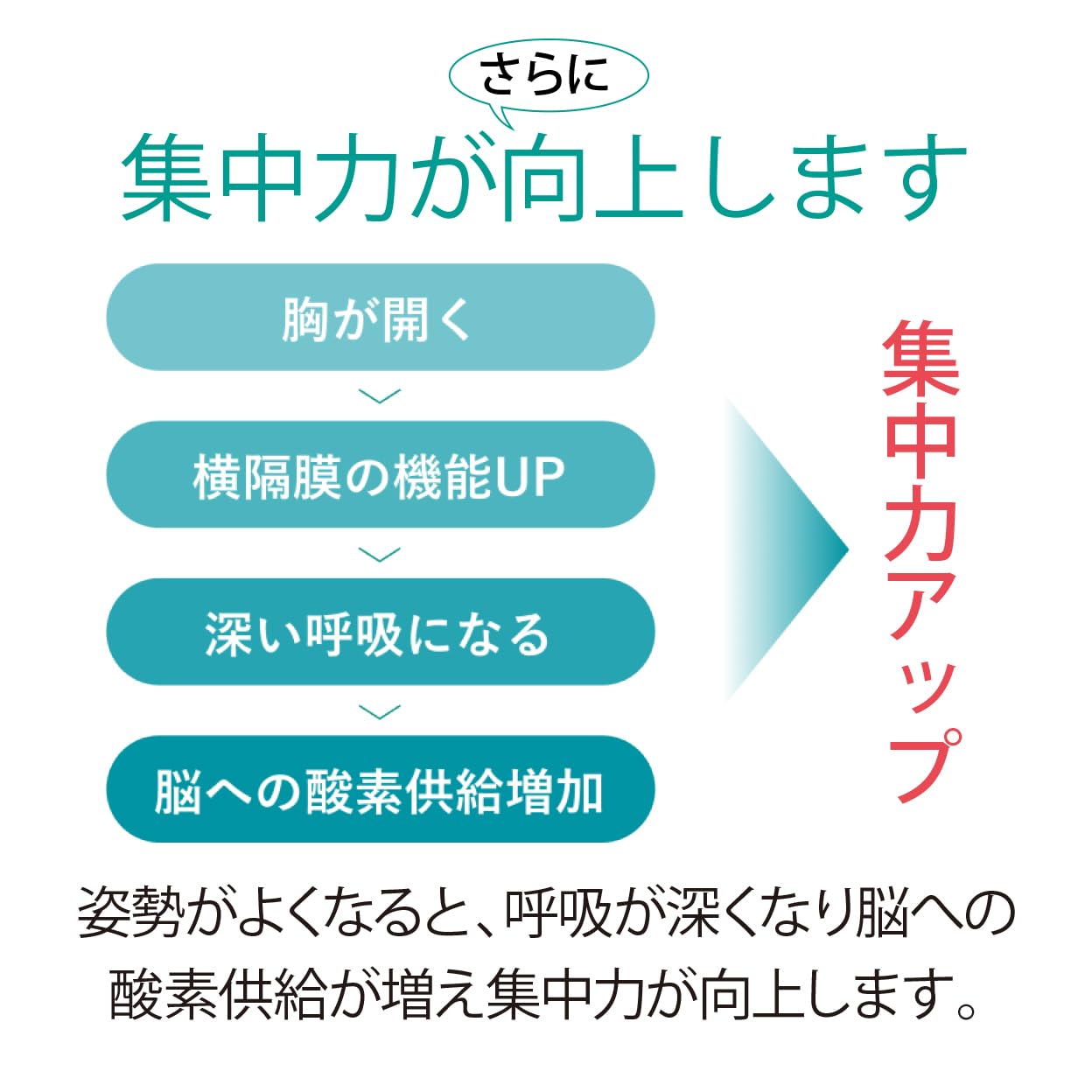 Amazon.co.jp: アーユルチェアー スツールタイプ SH45（座面の高さ